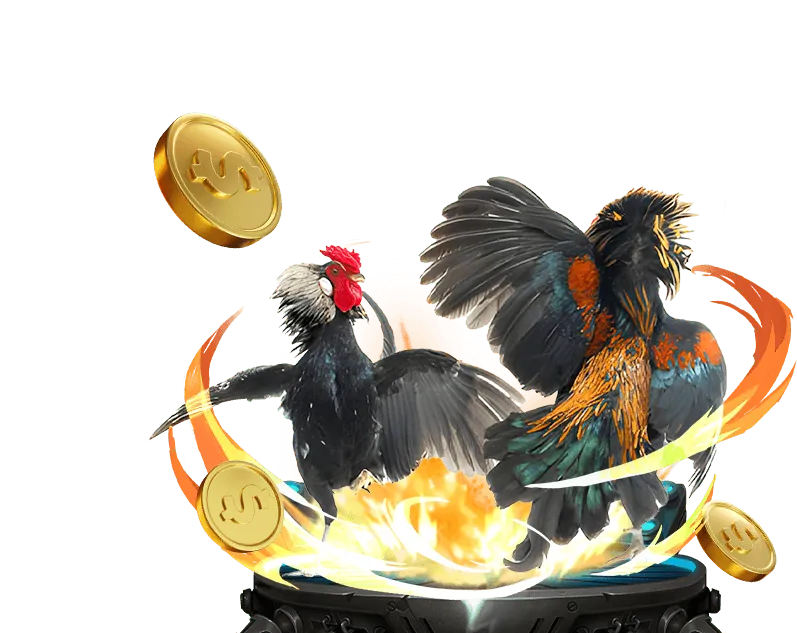 Các chương trình khuyến mãi hấp dẫn tại Đá Gà 888